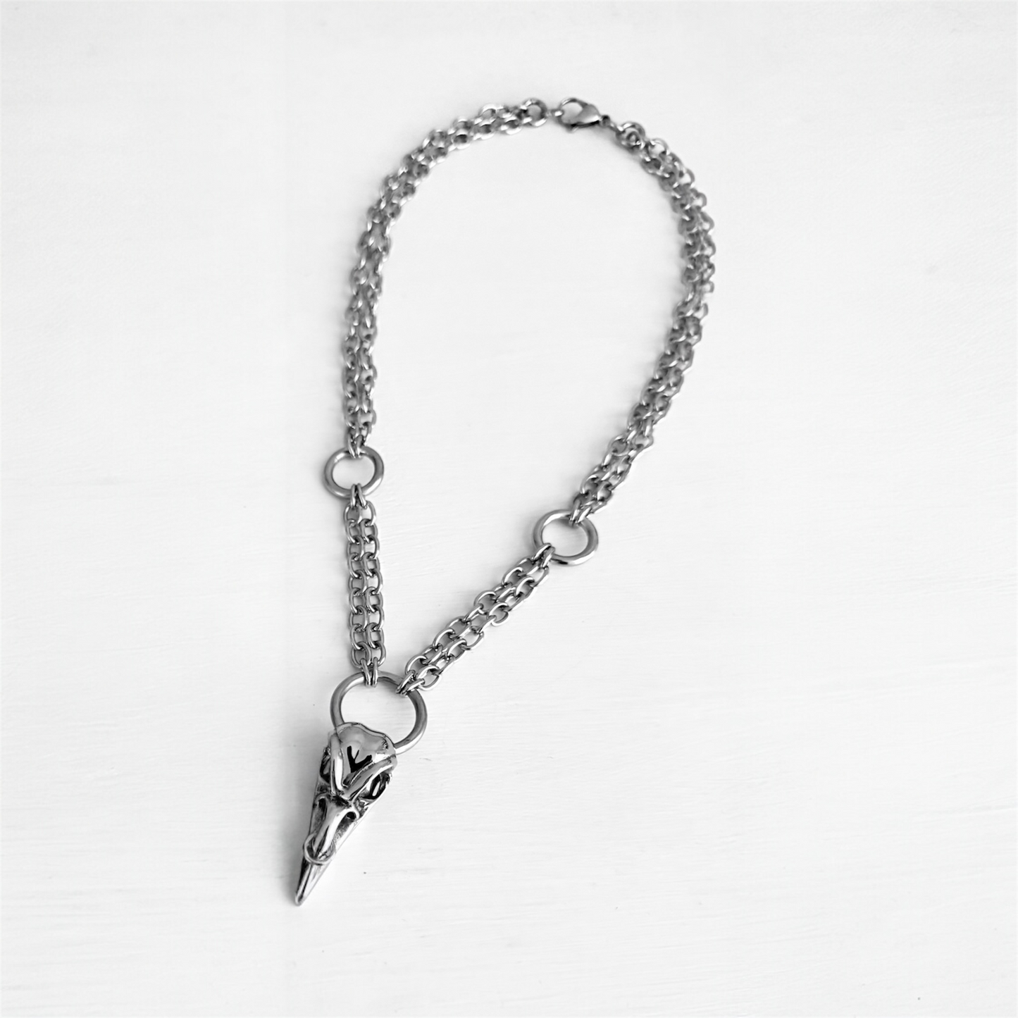 THE PIERCED RAVEN