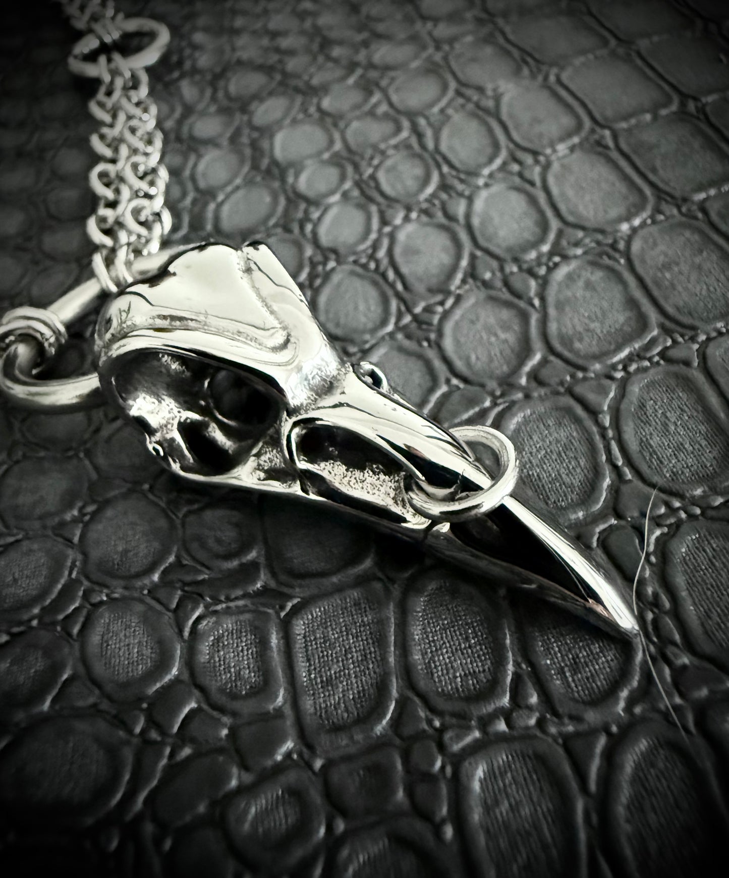 THE PIERCED RAVEN