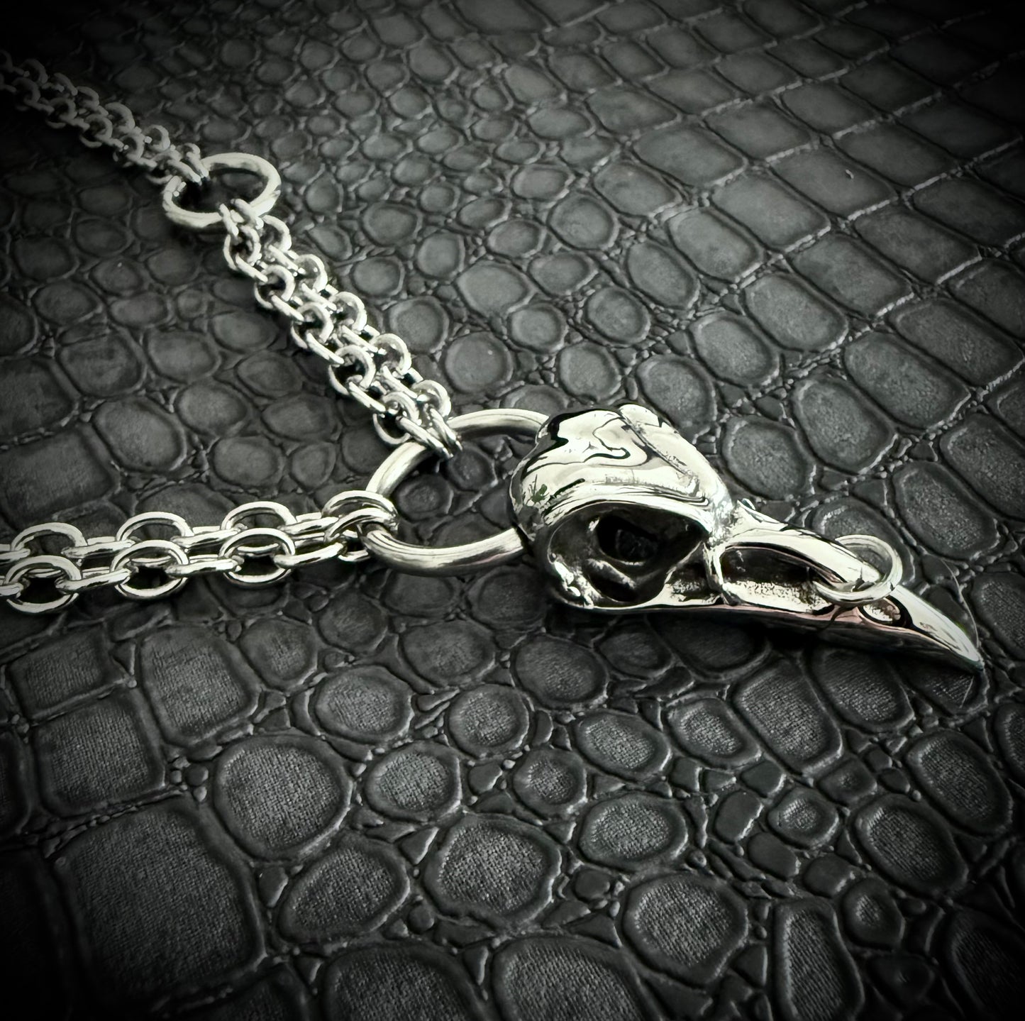 THE PIERCED RAVEN
