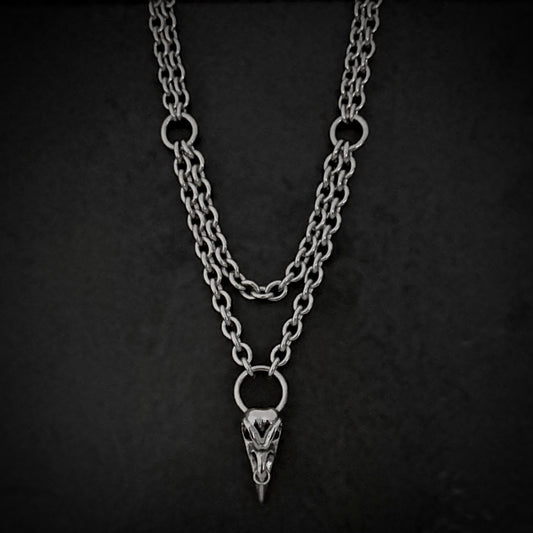 THE PIERCED RAVEN